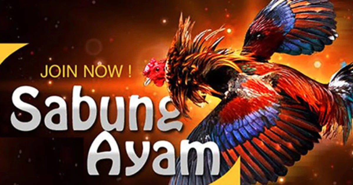 Sabung Ayam